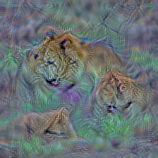 n02128925 jaguar, panther, Panthera onca, Felis onca
